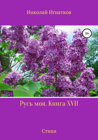 Обложка книги «Русь моя. Книга 17»