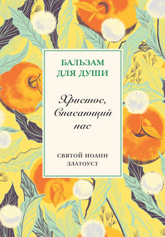 Обложка книги «Христос, спасающий нас»
