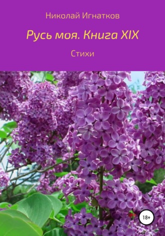 Обложка книги «Русь моя. Книга 19»