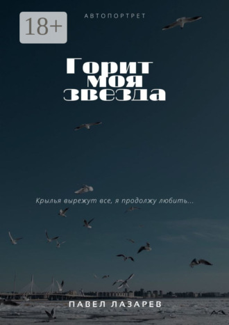 Обложка книги «Горит моя звезда»