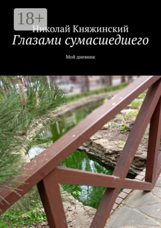 Обложка книги «Глазами сумасшедшего. Мой дневник»
