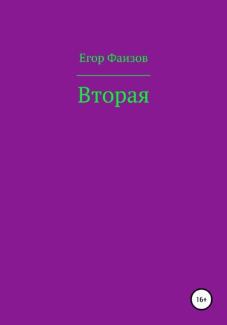 Егор Сергеевич Фаизов. Вторая