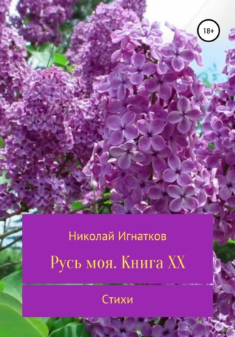 Обложка книги «Русь моя. Книга 20»