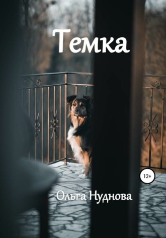 Обложка книги «Темка»
