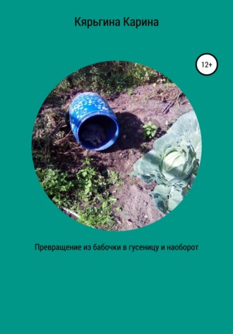 Обложка книги «Превращение из бабочки в гусеницу и наоборот»