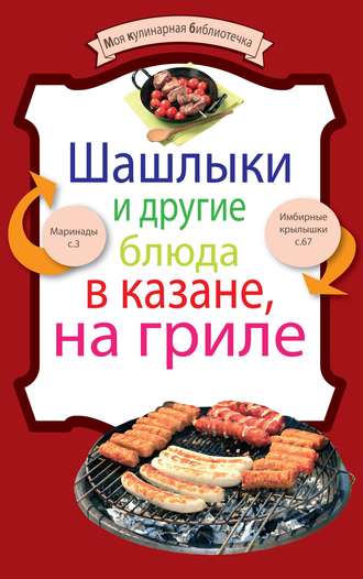 Обложка книги «Шашлыки и другие блюда в казане, на гриле»