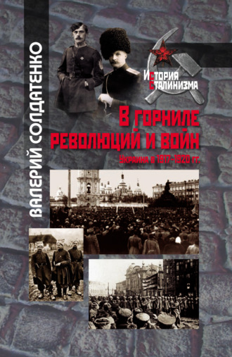 Обложка книги «В горниле революций и войн: Украина в 1917-1920 гг. историко-историографические эссе»