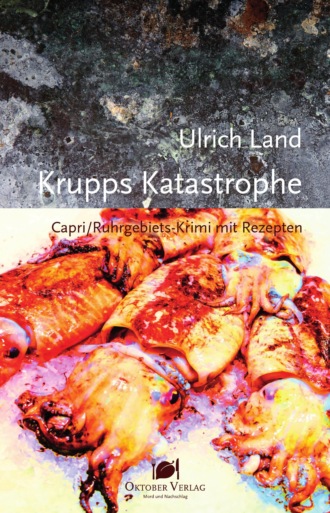 Ulrich Land. Krupps Katastrophe