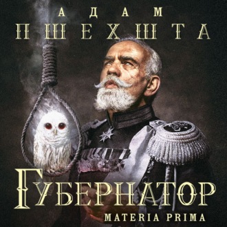 Обложка книги «Губернатор»