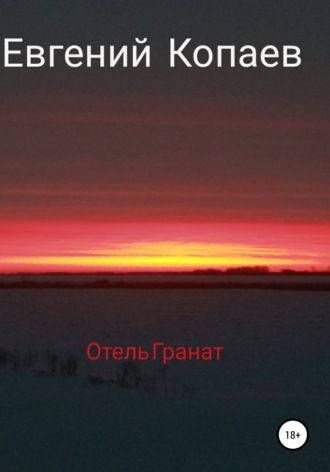 Евгений Петрович Копаев. Отель Гранат