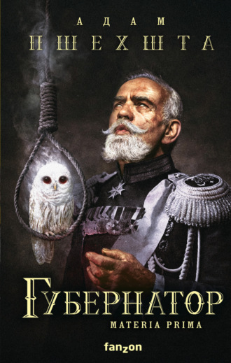 Обложка книги «Губернатор»