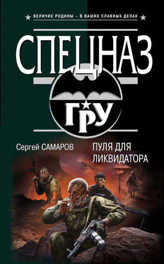 Обложка книги «Пуля для ликвидатора»