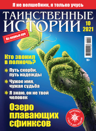 Обложка книги «Таинственные истории №10/2021»