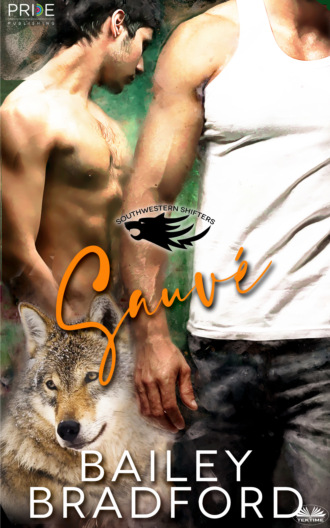 Обложка книги «Sauvé»