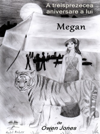 Обложка книги «A Treisprezecea Aniversare A Lui Megan»