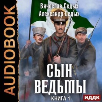 Обложка книги «Сын ведьмы»