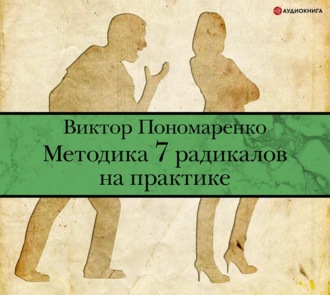 Обложка книги «Методика 7 радикалов на практике»