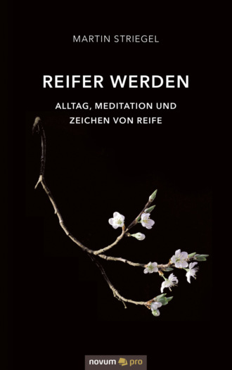 Martin Striegel. Reifer werden