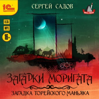 Обложка книги «Загадка Торейского маньяка»