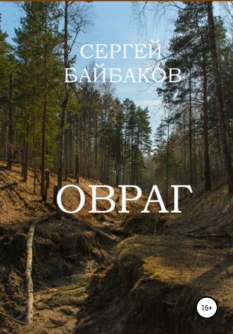 Обложка книги «Овраг»