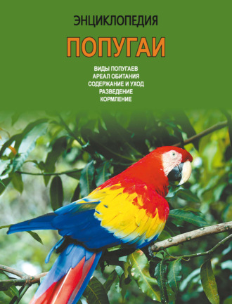 Обложка книги «Энциклопедия. Попугаи»