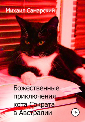Обложка книги «Божественные приключения кота Сократа в Австралии»