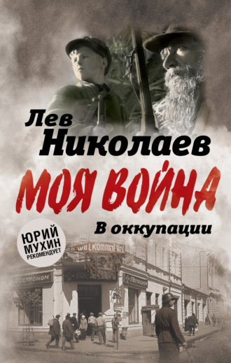 Обложка книги «В оккупации. Дневник советского профессора»