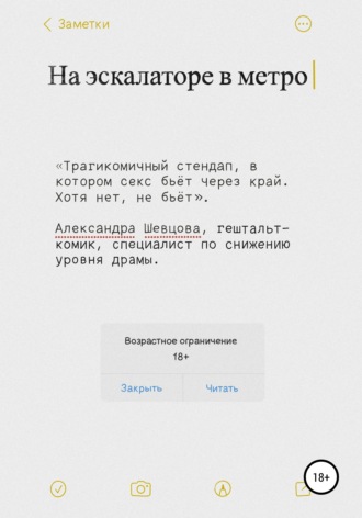 Обложка книги «На эскалаторе в метро»