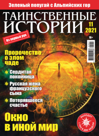 Обложка книги «Таинственные истории №11/2021»