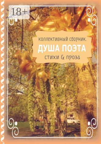 Обложка книги «Душа поэта. Стихи & проза»