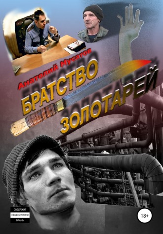 Обложка книги «Братство золотарей»