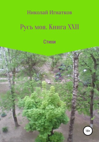 Обложка книги «Русь моя. Книга XXII»