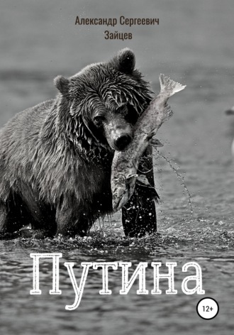 Обложка книги «Путина»