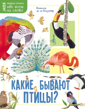 Обложка книги «Какие бывают птицы?»