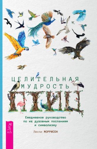 Лесли Моррисон. Целительная мудрость птиц. Ежедневное руководство по их духовным посланиям и символизму