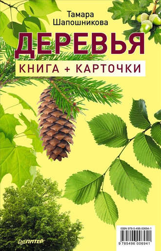 Тамара Шапошникова. Деревья. Книга + карточки