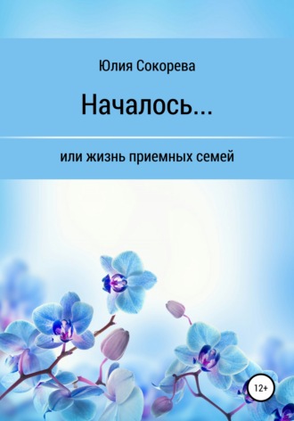 Юлия Александровна Сокорева. Началось, или Жизнь приемных семей