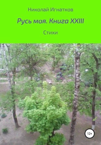 Обложка книги «Русь моя. Книга XXIII»