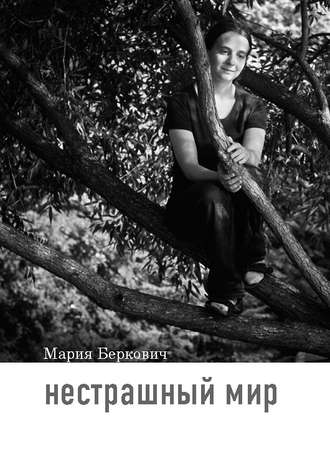 Обложка книги «Нестрашный мир»