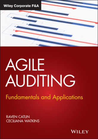 Raven Catlin. Agile Auditing