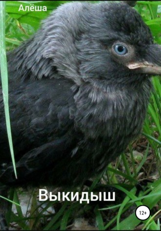 Обложка книги «Выкидыш»
