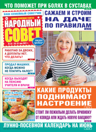 Обложка книги «Народный совет №22/2021»