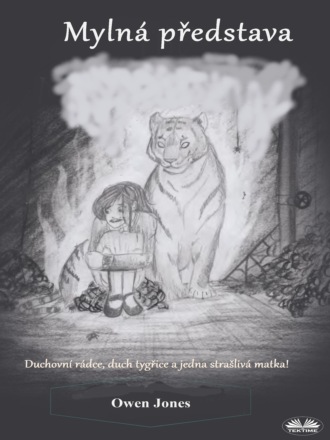 Обложка книги «Mylná Představa»