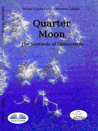 Обложка книги «Quarter Moon»