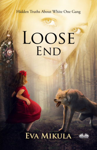 Обложка книги «Loose End»