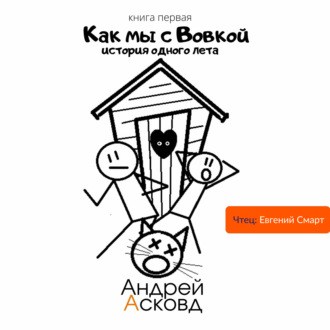 Обложка книги «Как мы с Вовкой. История одного лета. Книга первая»