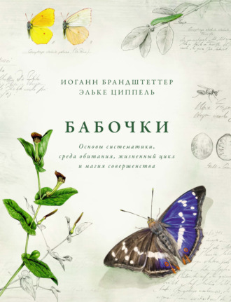 Иоганн Брандштеттер. Бабочки. Основы систематики, среда обитания, жизненный цикл и магия совершенства