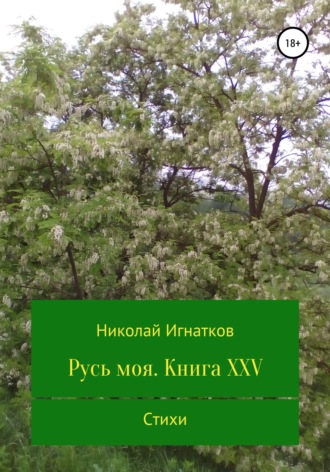 Обложка книги «Русь моя. Книга XXV»