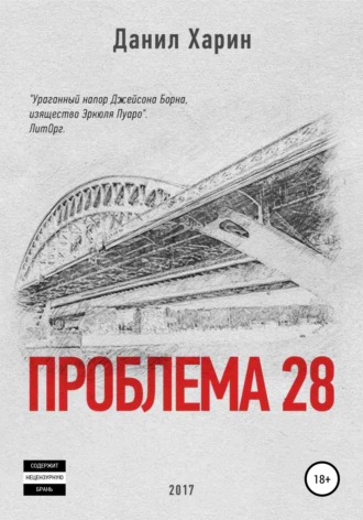 Данил Владимирович Харин. Проблема 28