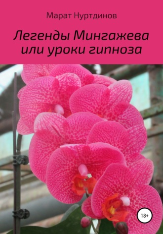 Обложка книги «Легенды Мингажева, или Уроки гипноза»